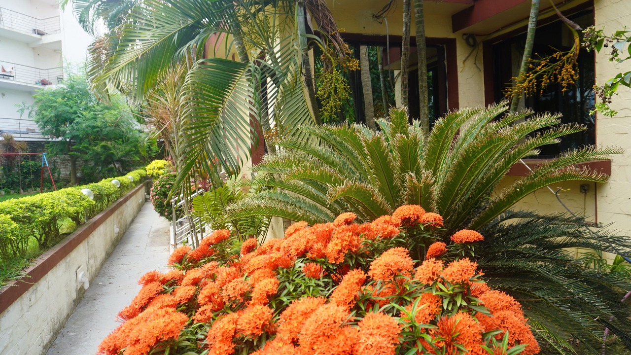 Photo of Outdoor in Digha