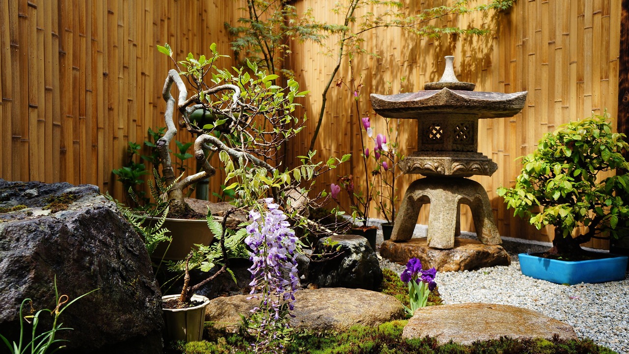 Photo of Outdoor in Arashiyama