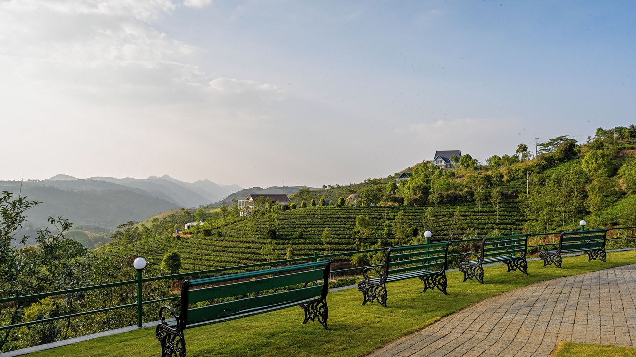 Photo of Outdoor in Elappara