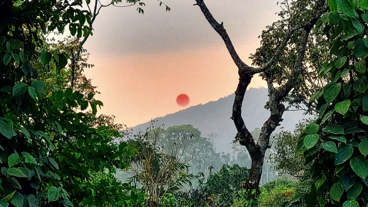 Photo of Outdoor in Sakleshpur