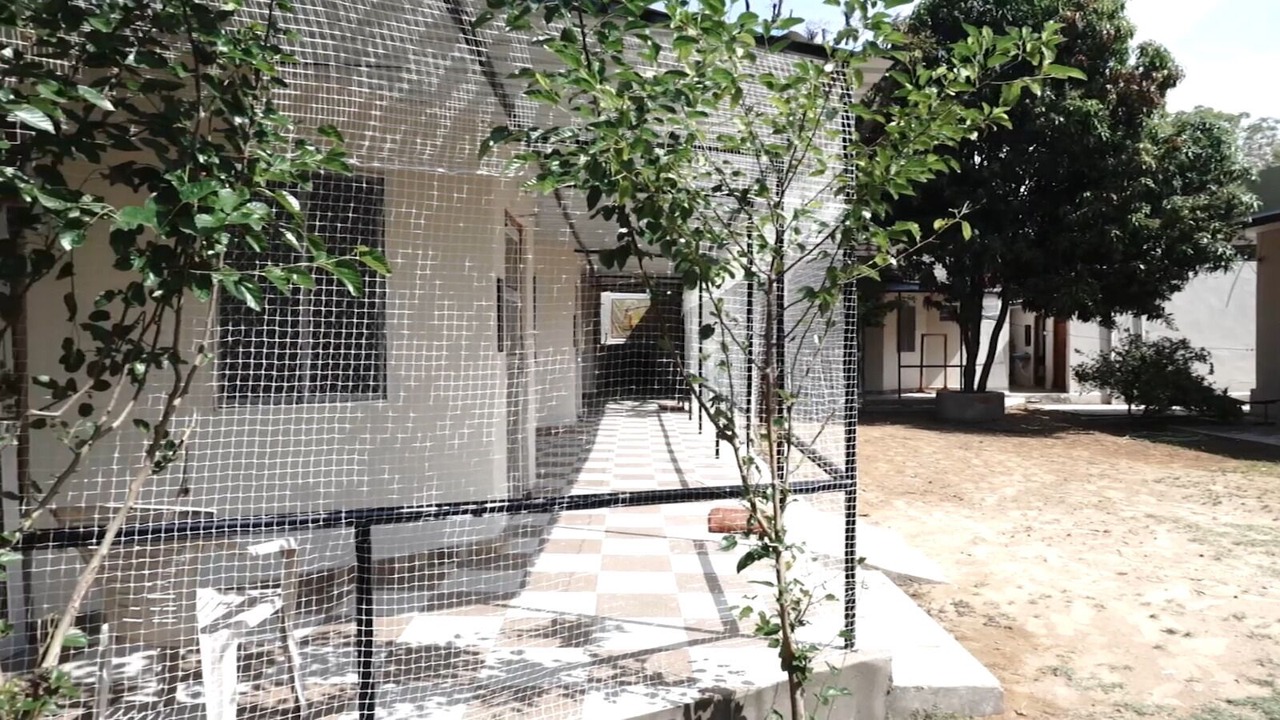 Photo of Outdoor in Shri Madhopur