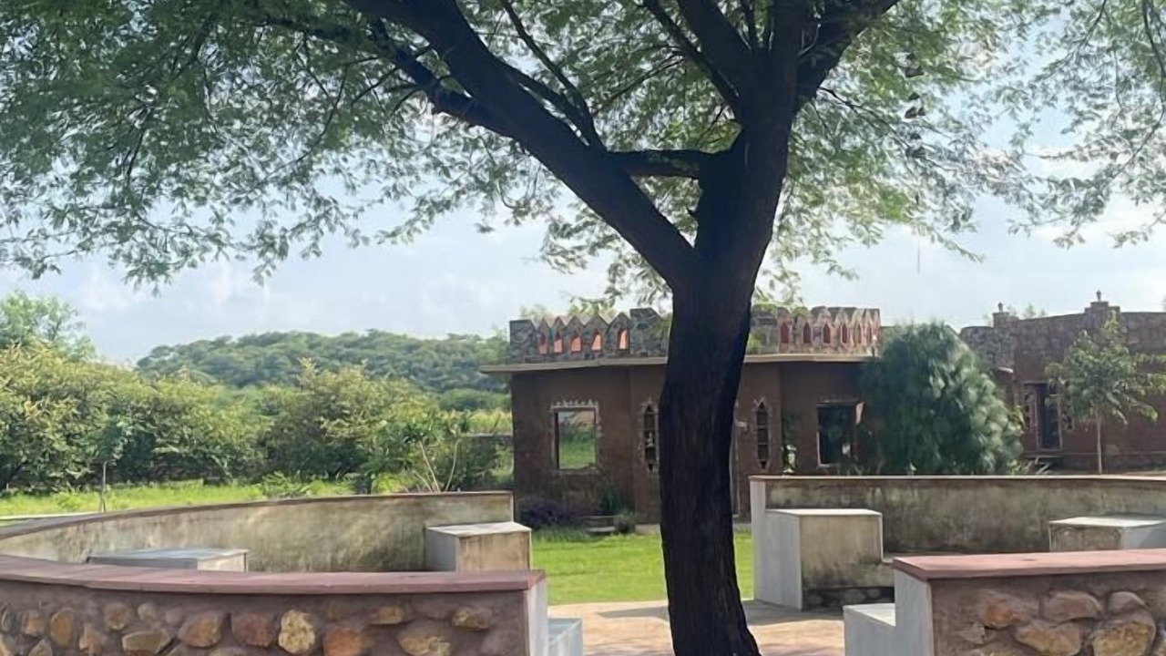 Photo of Outdoor in Sariska