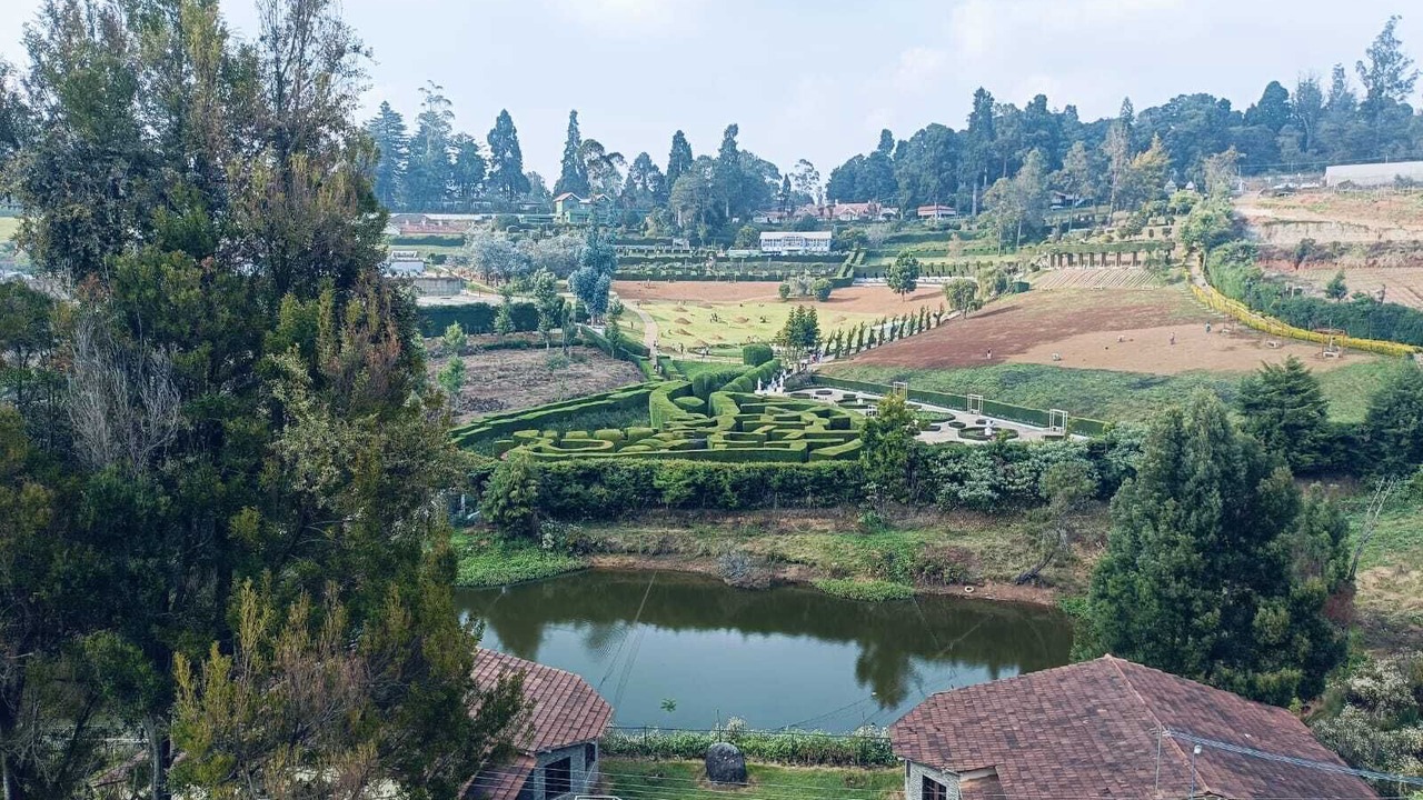 Photo of Outdoor in Fern Hill
