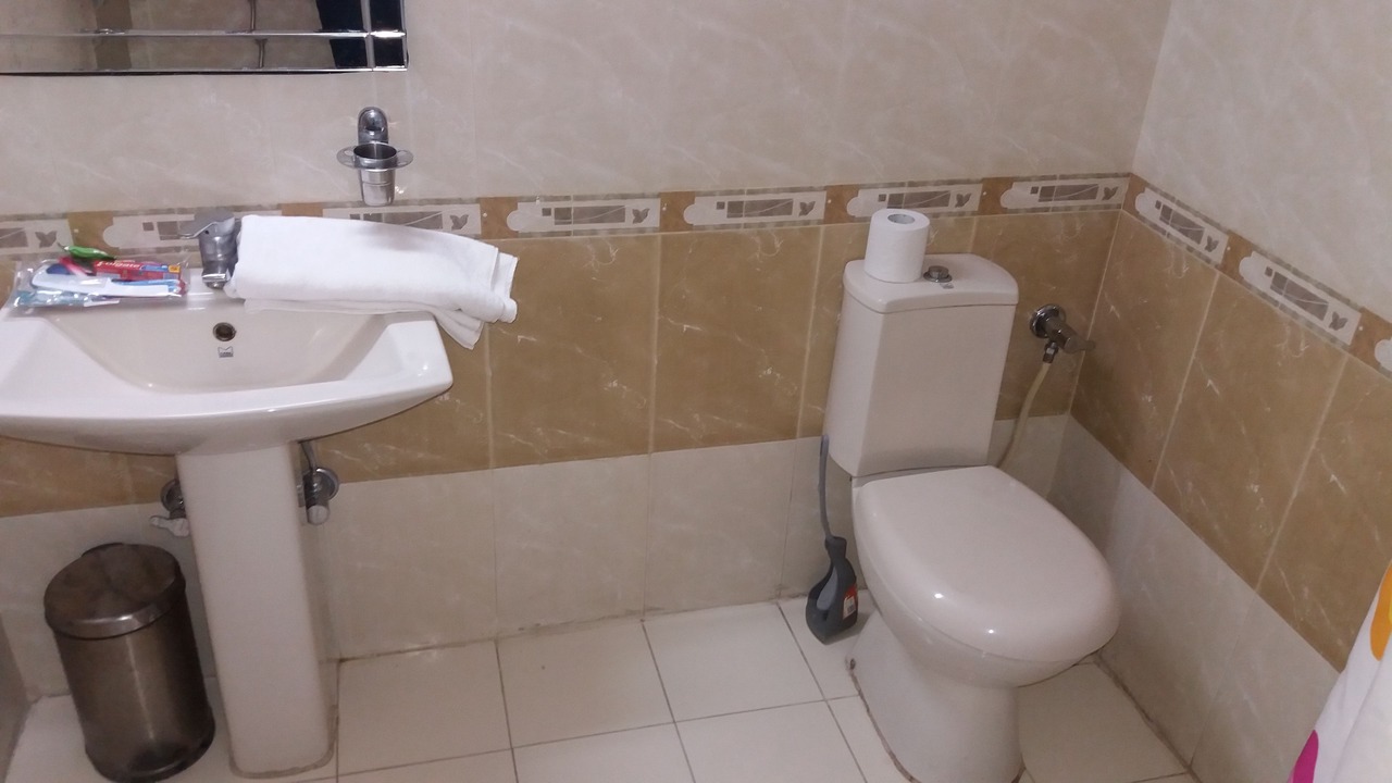 Photo of Bathroom in Raja Park
