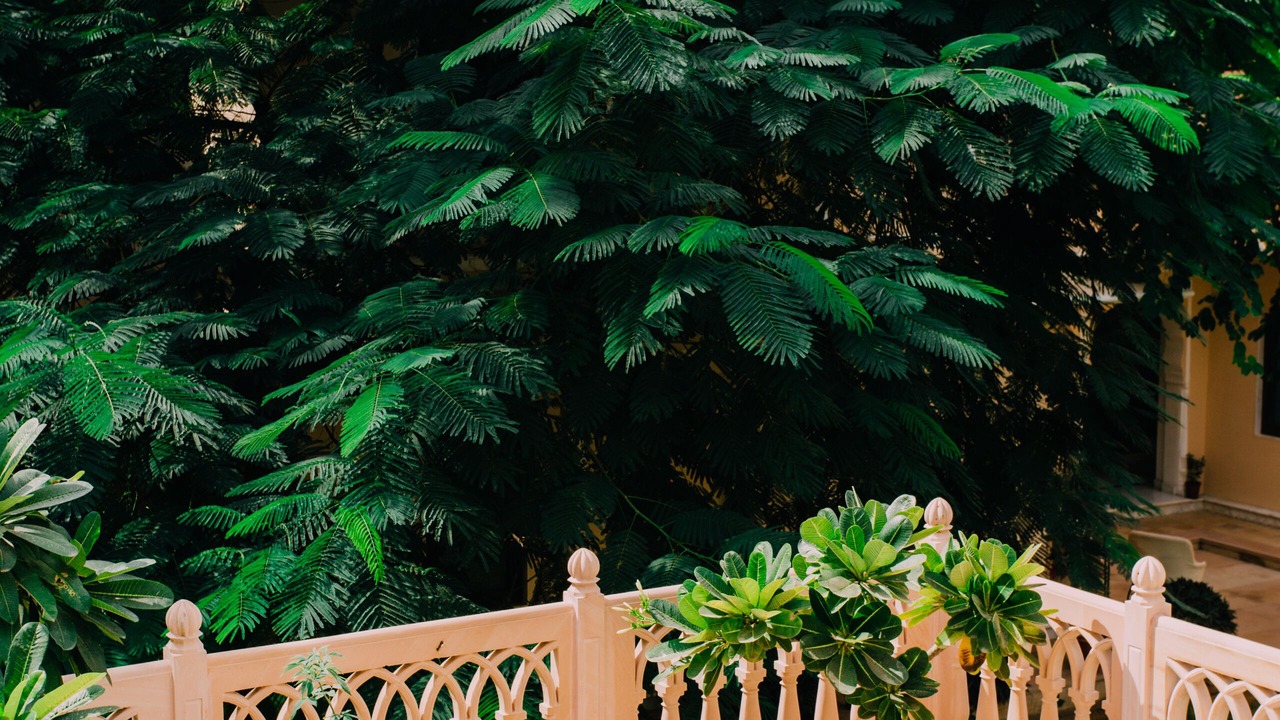 Photo of Outdoor in Jaipur District