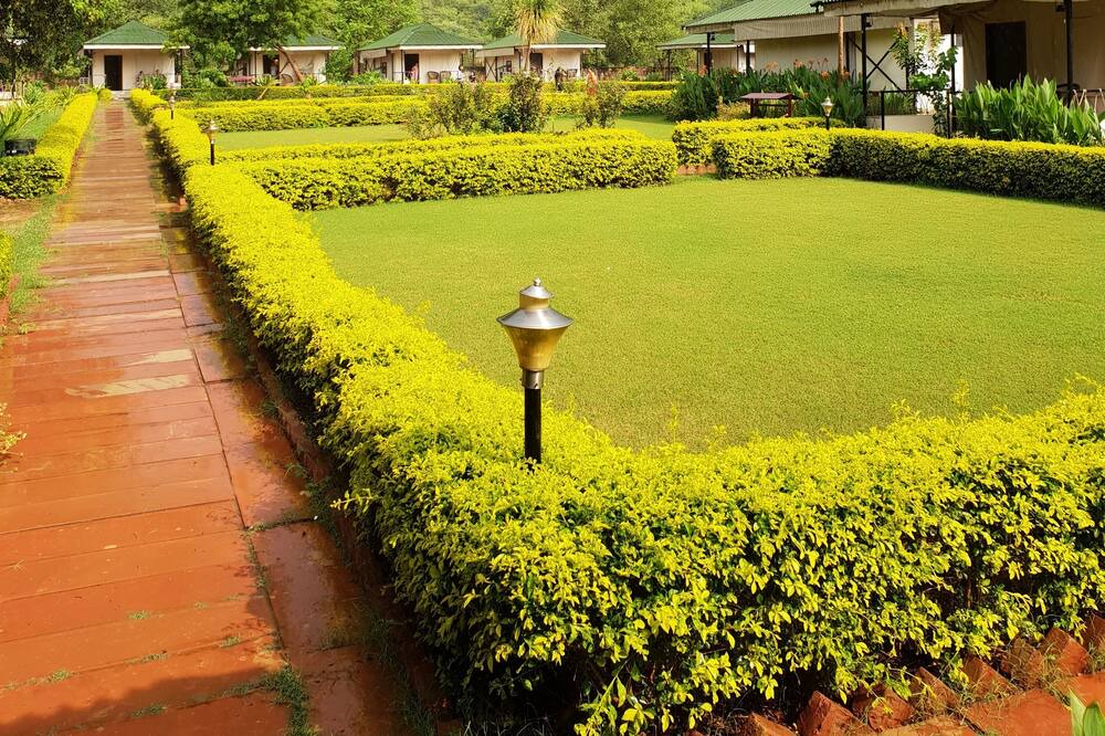 Photo of Outdoor in Thana Gazi