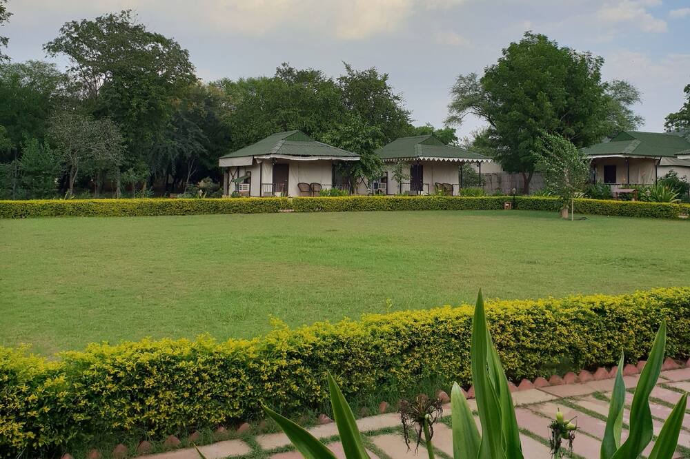 Photo of Outdoor in Thana Gazi