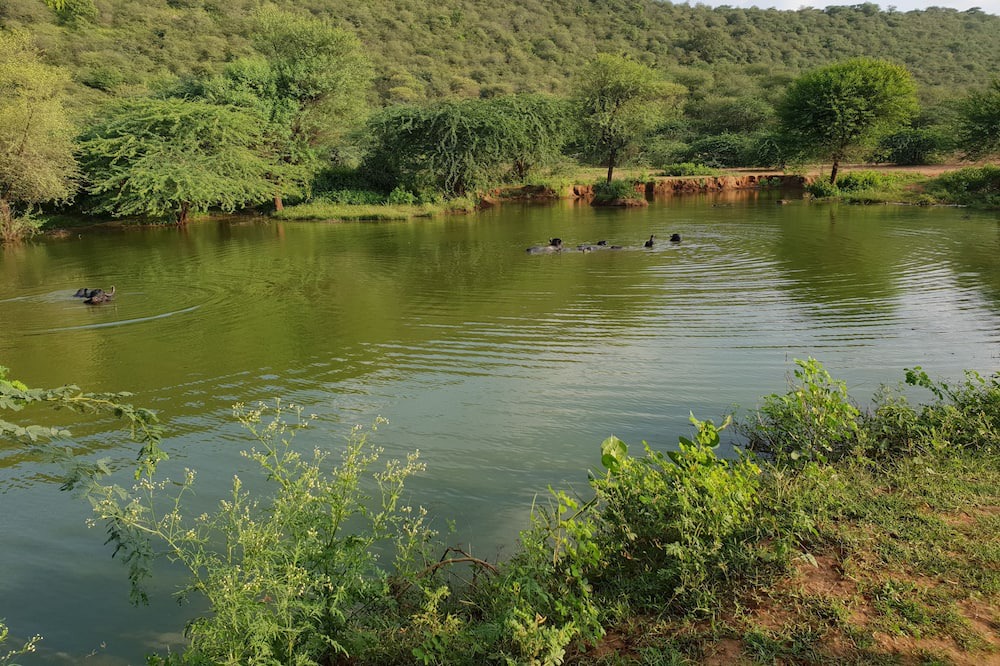 Photo of Outdoor in Thana Gazi