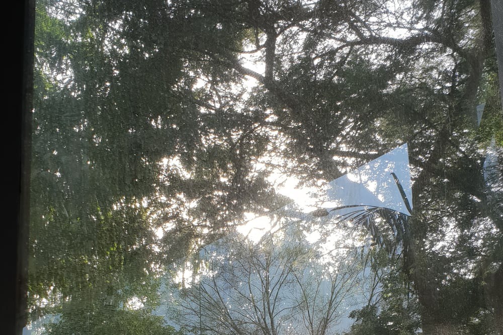 Photo of Outdoor in Thana Gazi
