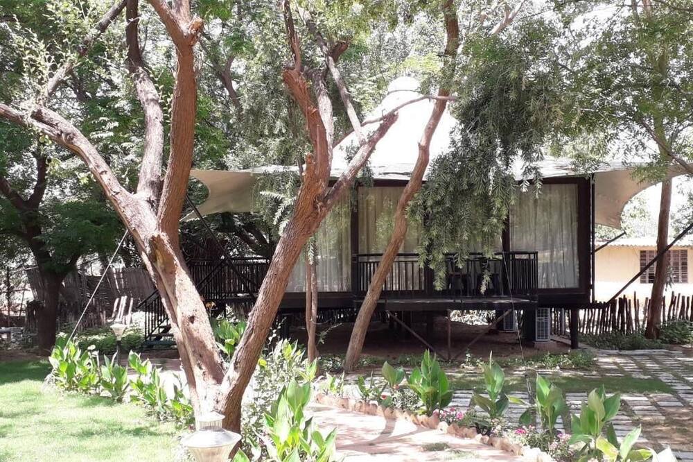 Photo of Outdoor in Thana Gazi