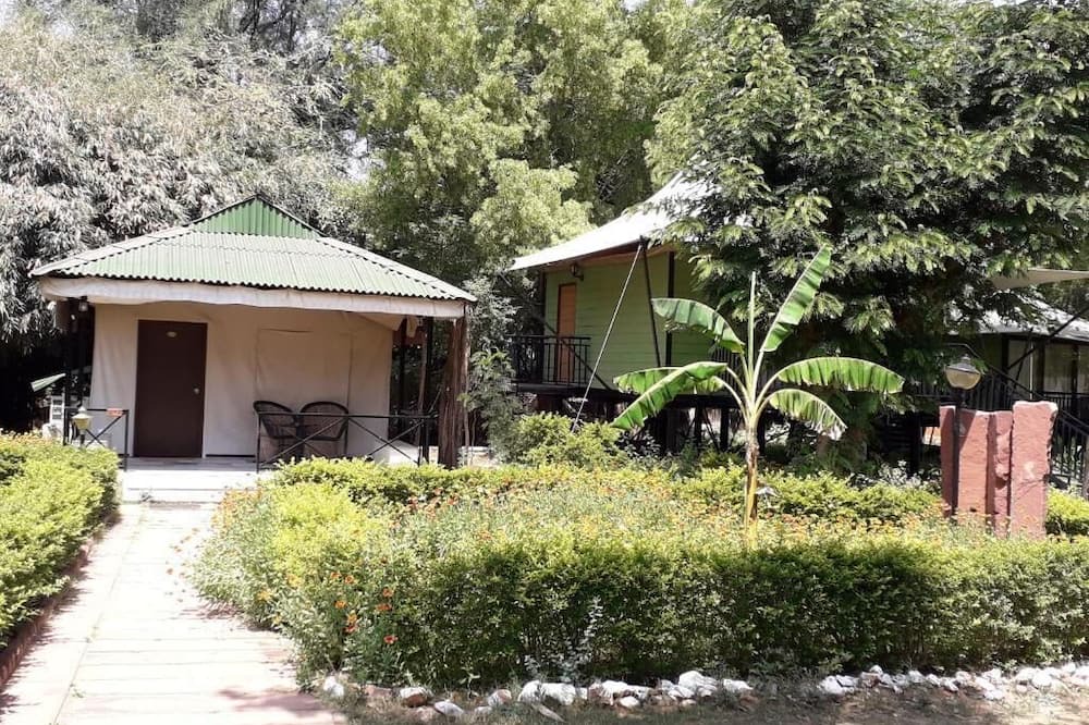 Photo of Outdoor in Thana Gazi