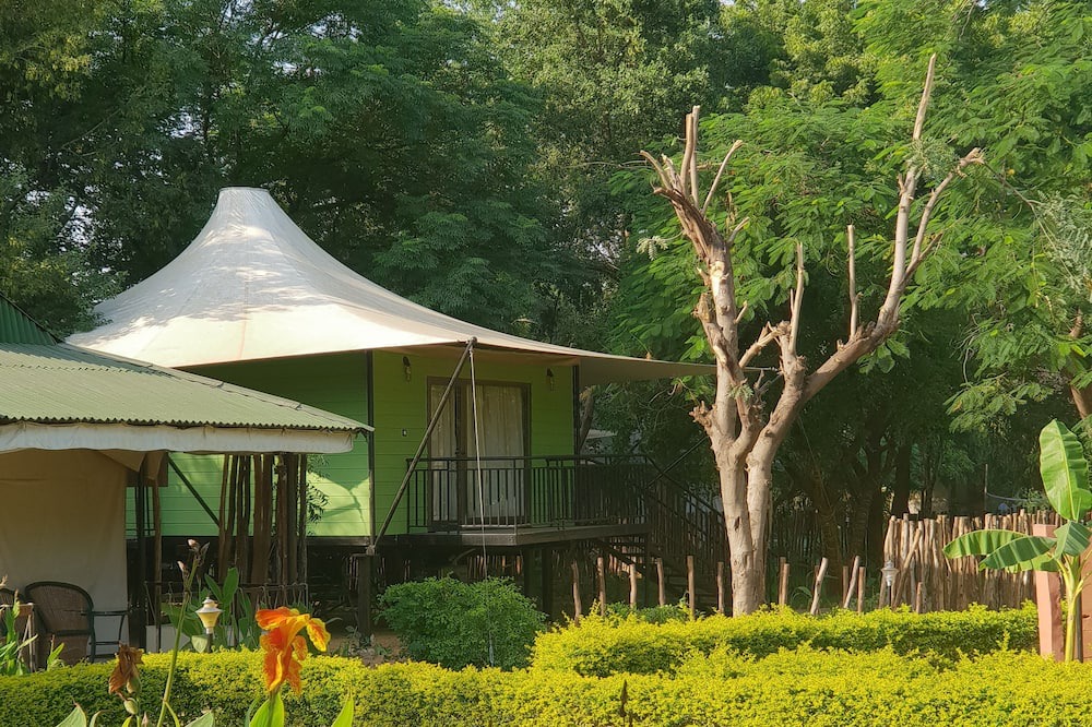 Photo of Outdoor in Thana Gazi