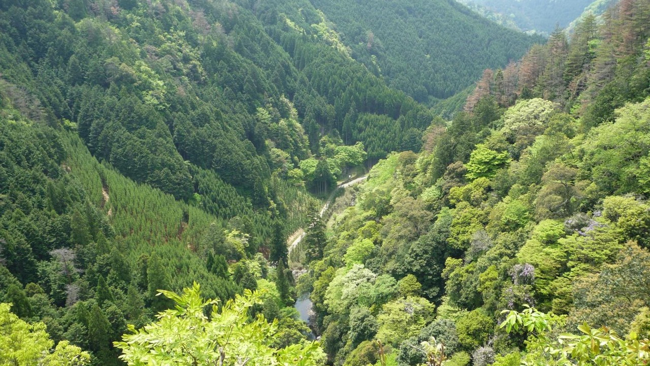 Photo of Outdoor in Ukyo Ward