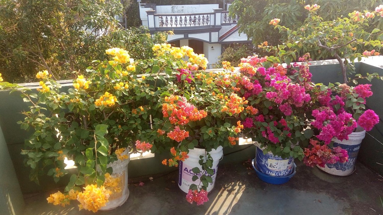 Photo of Outdoor in Fort Kochi