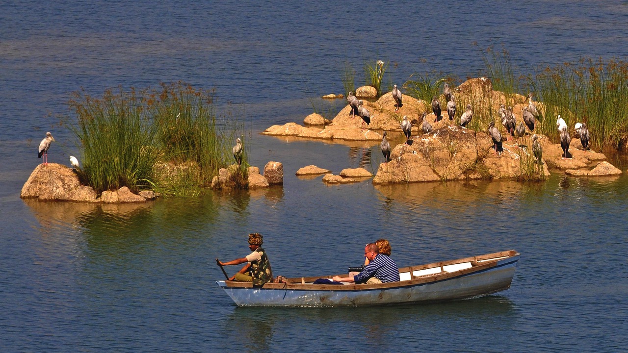 Photo of Others in Panna