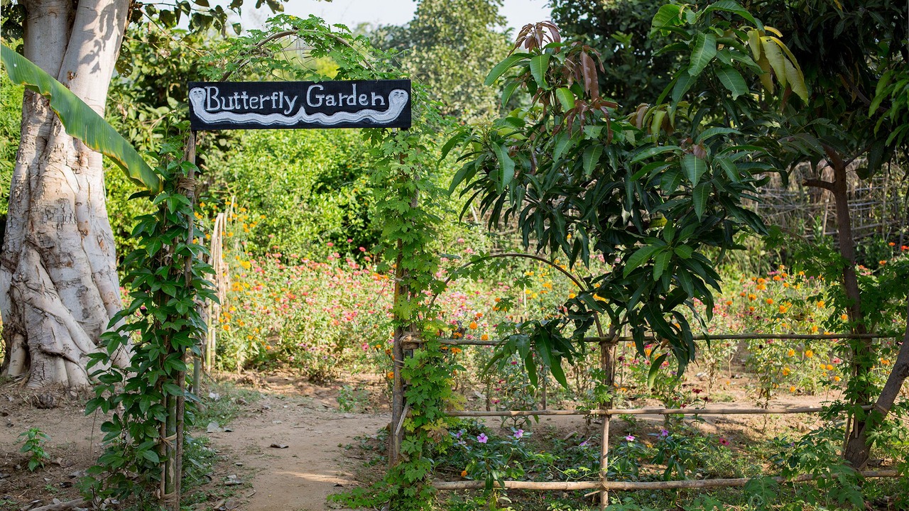 Photo of Outdoor in Panna