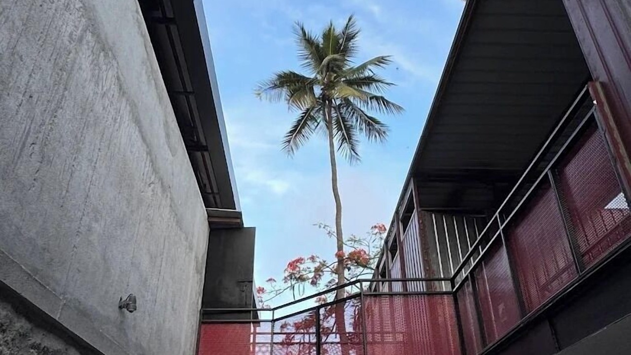 Photo of Others in Koramangala