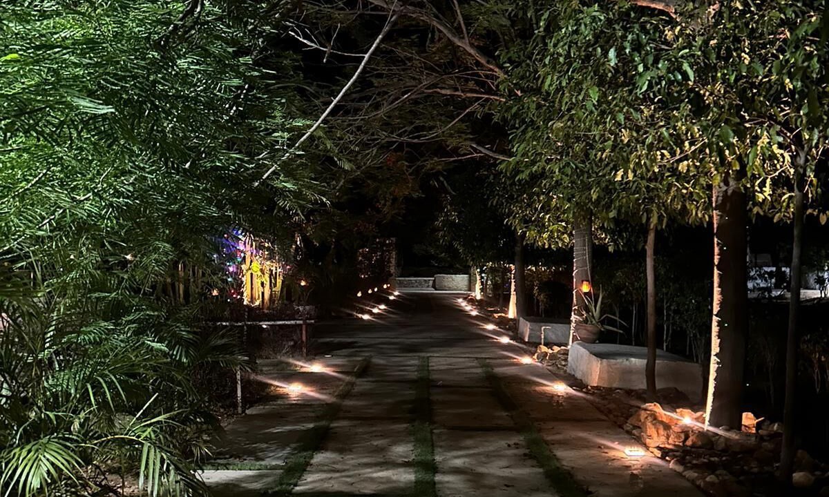 Photo of Outdoor in Sariska