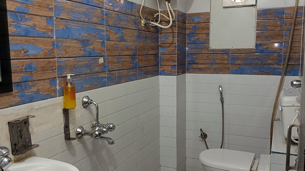 Photo of Bathroom in Danapur