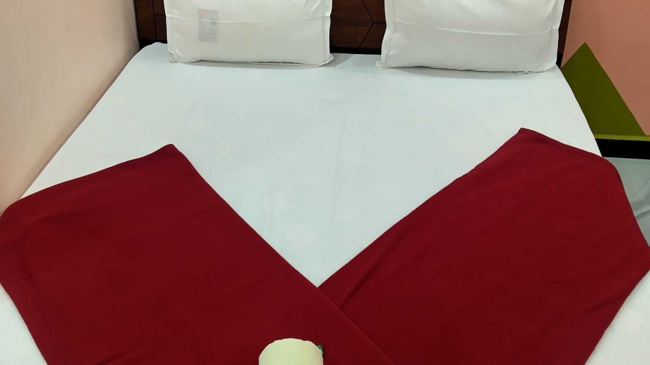Photo of Bedroom in Rajpipla