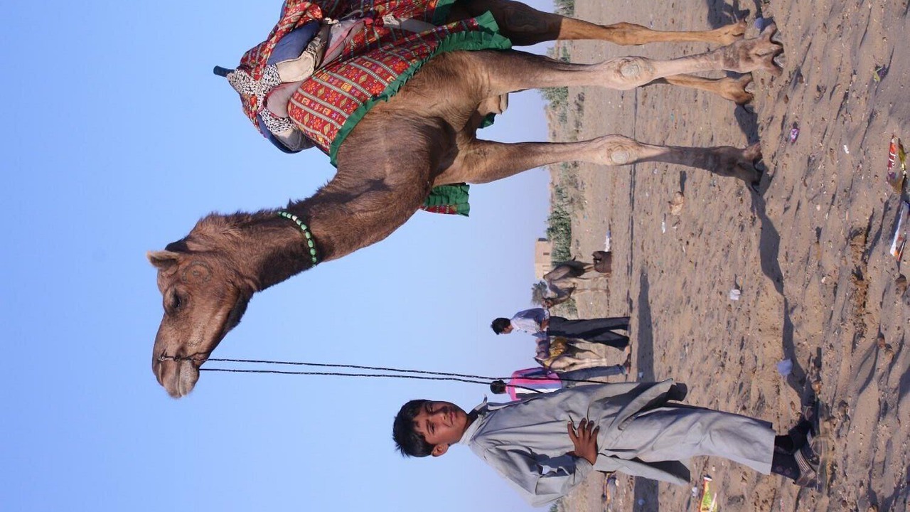 Photo of Outdoor in Amar Sagar Pol