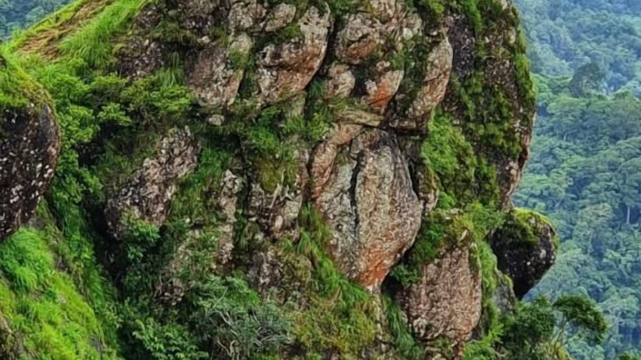 Photo of Outdoor in Elappara