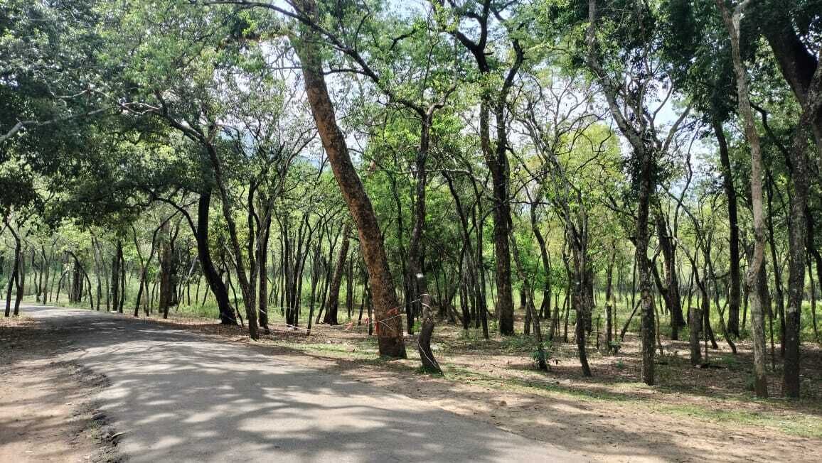 Photo of Outdoor in Maraiyur