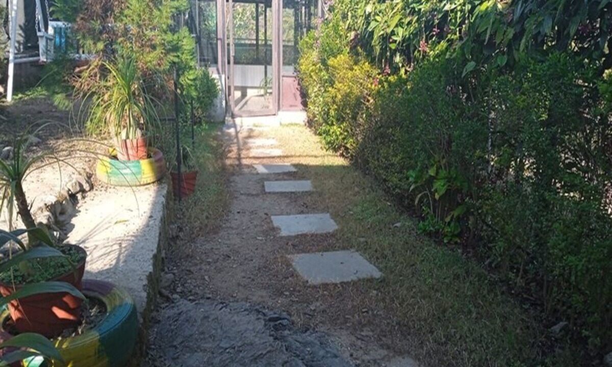 Photo of Outdoor in Lansdowne