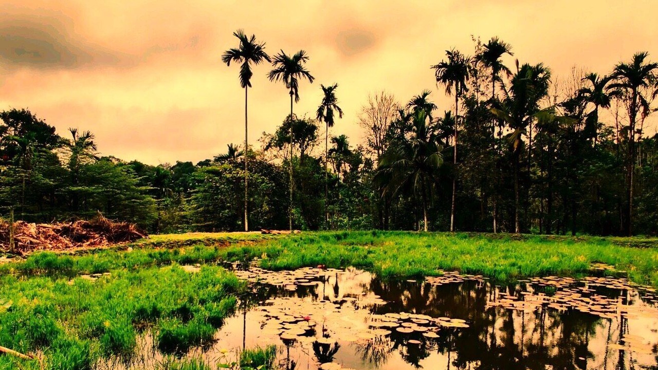 Photo of Outdoor in Virarajendrapet