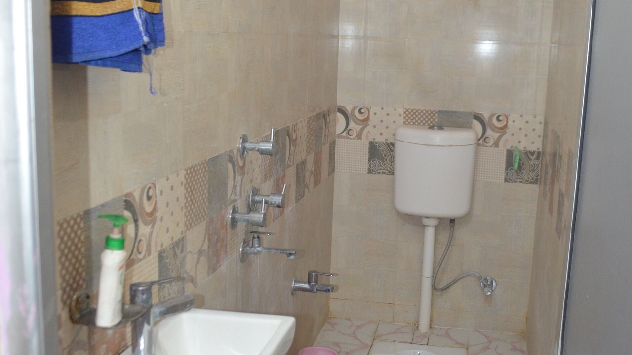 Photo of Bathroom in Sahibganj