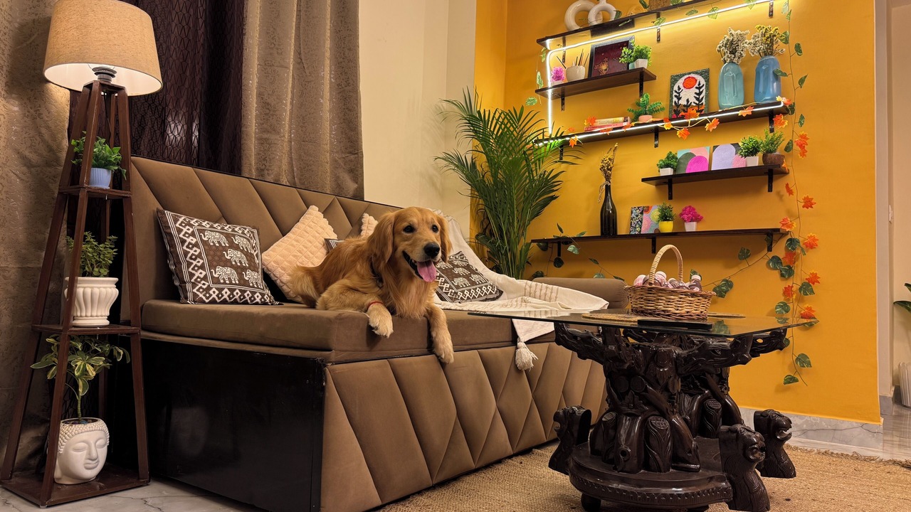 Photo of Livingroom in Sainik Farm