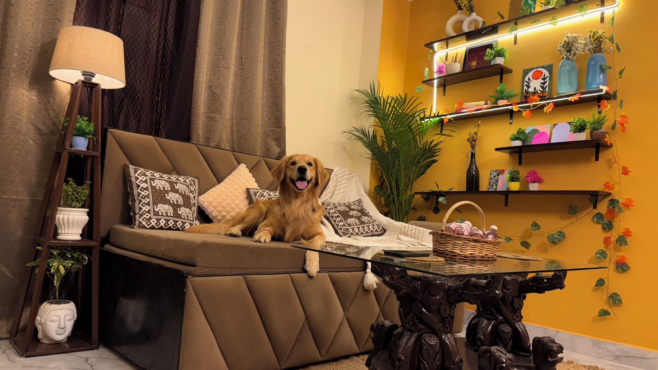 Photo of Livingroom in Sainik Farm