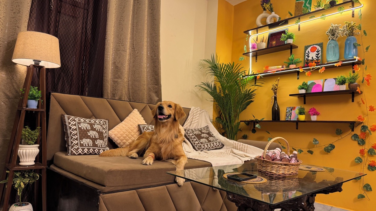 Photo of Livingroom in Sainik Farm