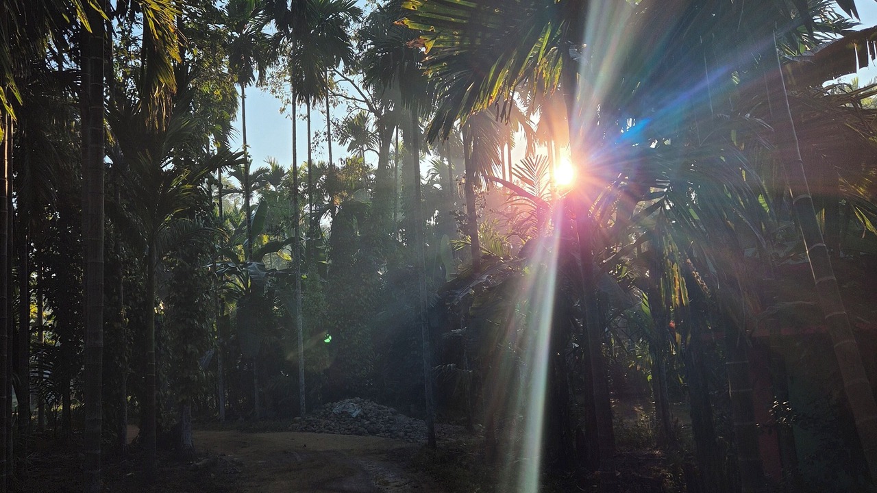 Photo of Outdoor in South Garo Hills