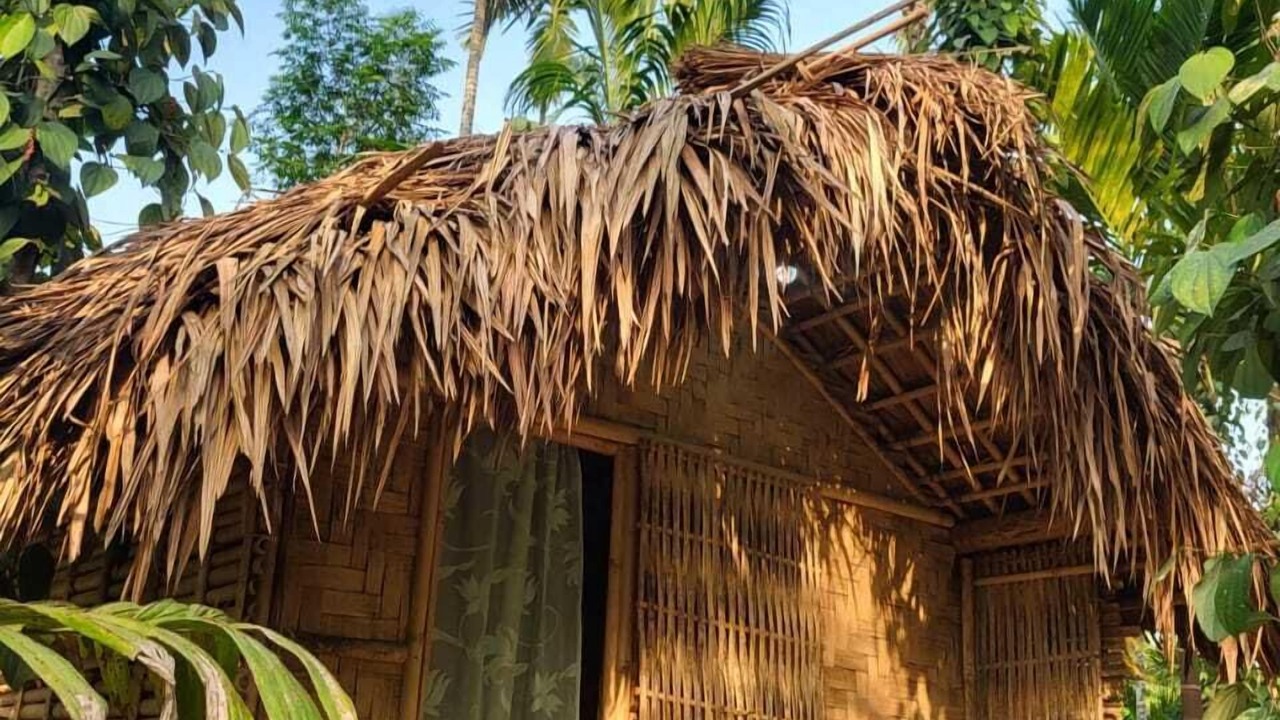 Photo of Outdoor in South Garo Hills