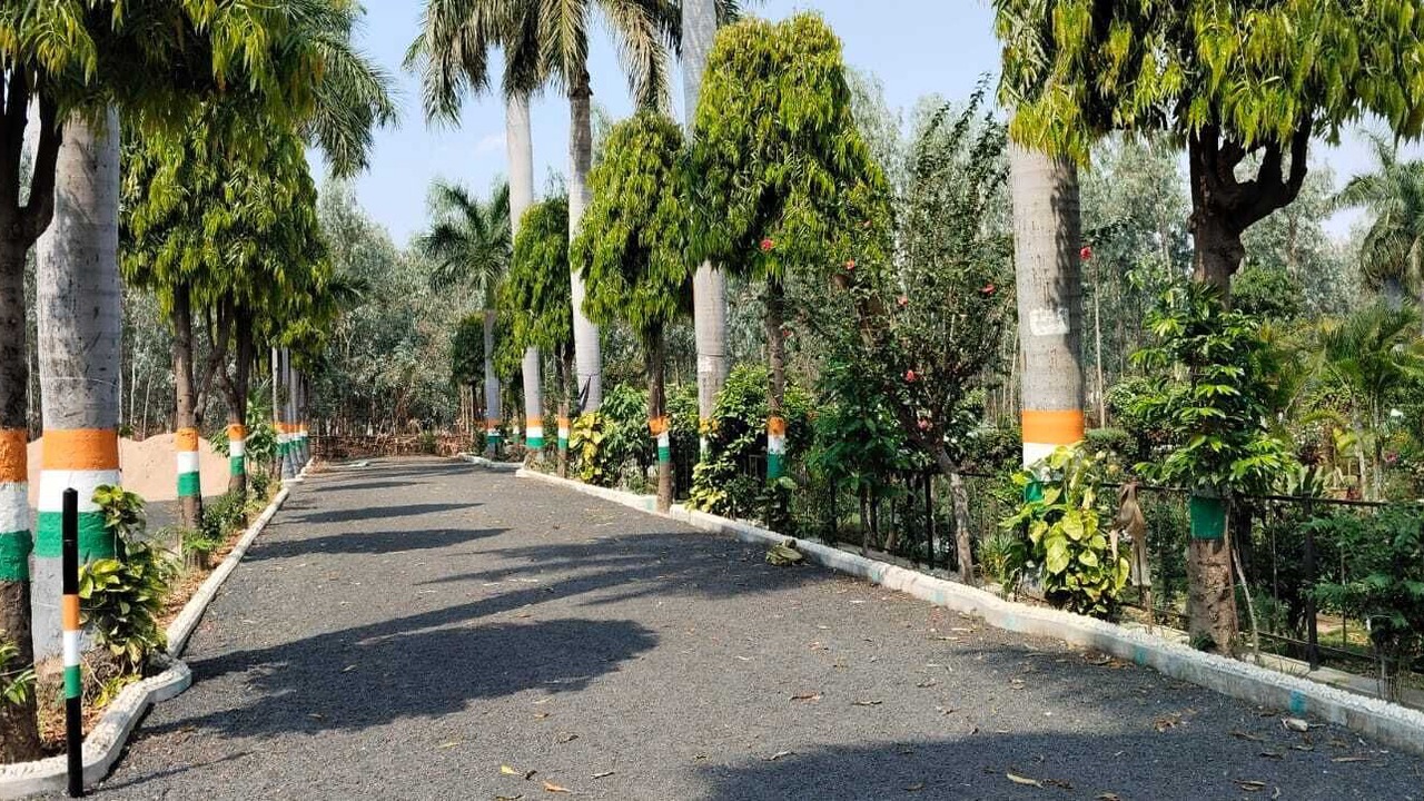 Photo of Outdoor in Shahdol