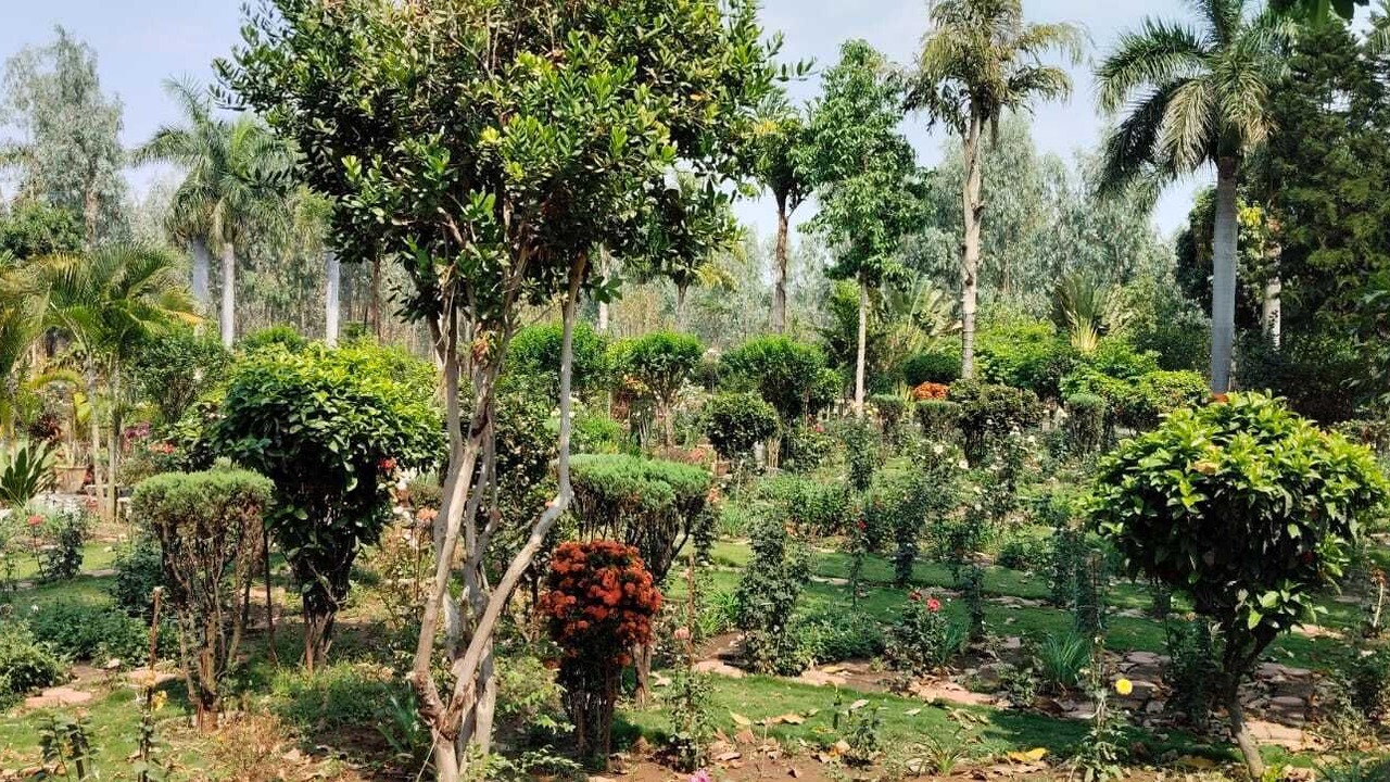 Photo of Outdoor in Shahdol