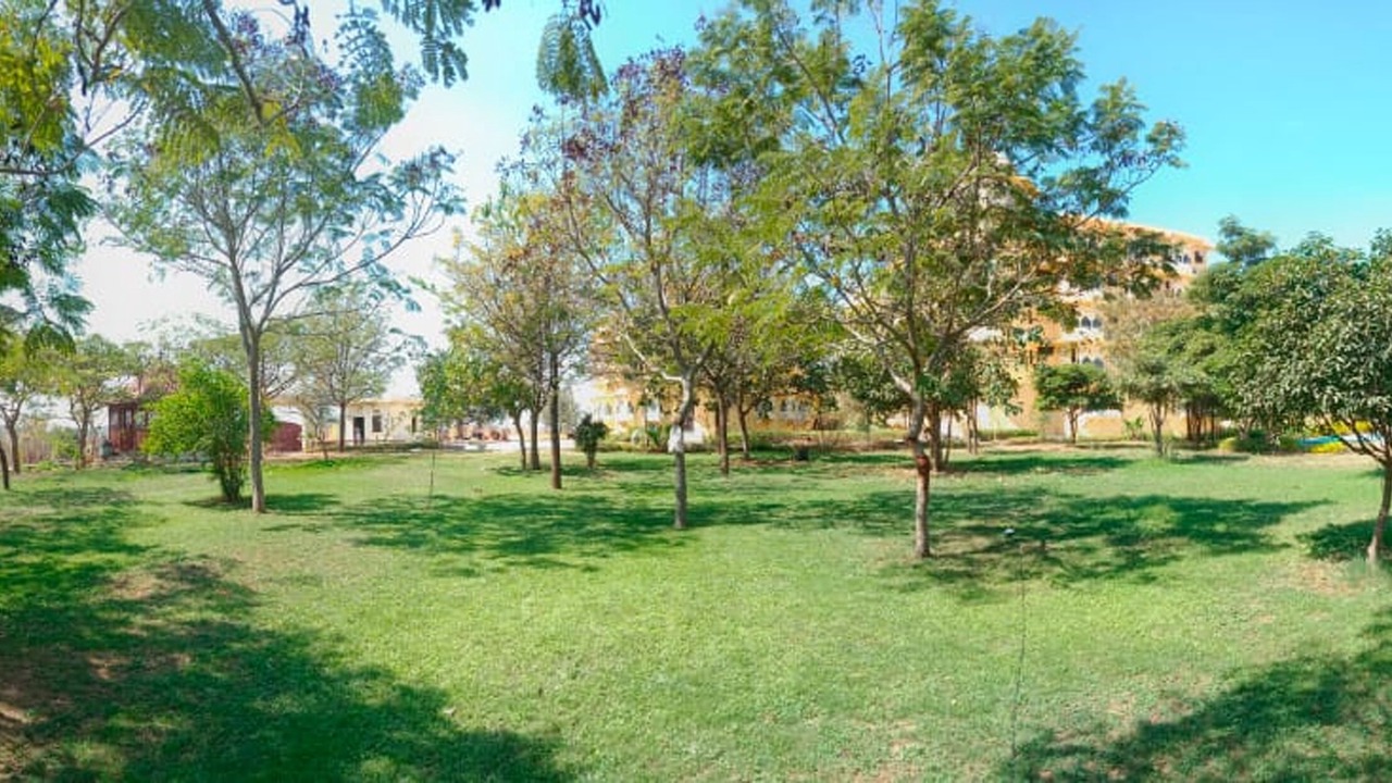 Photo of Outdoor in Nathdwara