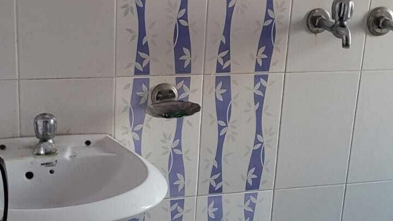 Photo of Bathroom in Pink City