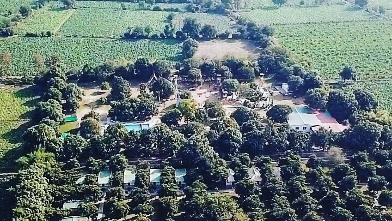 Photo of Outdoor in Borsad