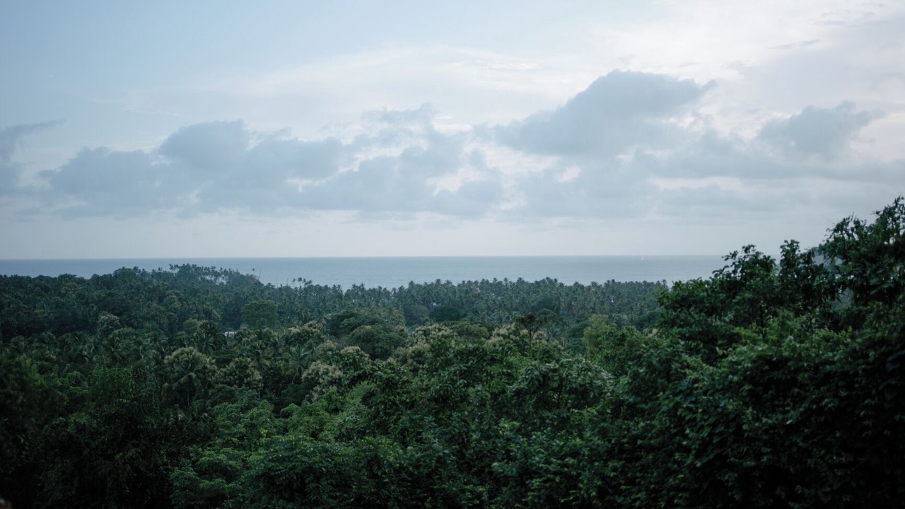 Photo of Others in Palolem