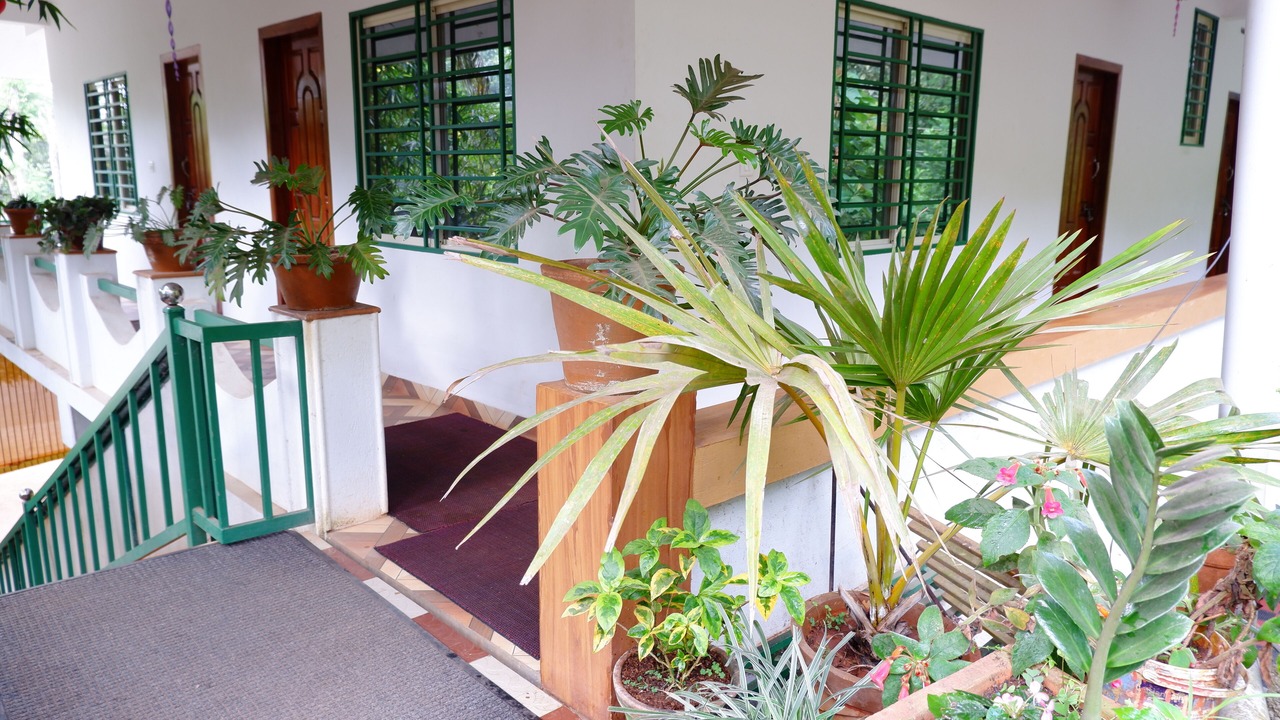 Photo of Outdoor in Ramakkalmedu