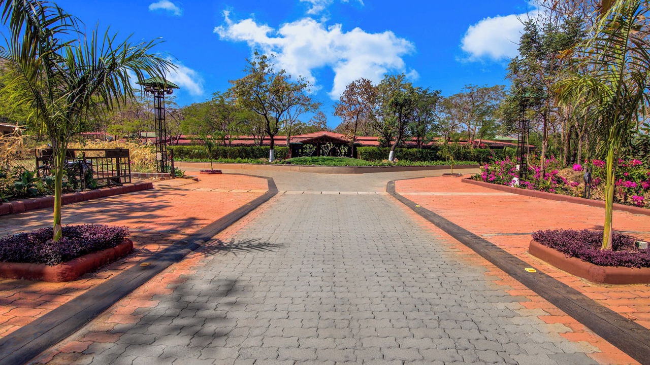 Photo of Outdoor in Valia