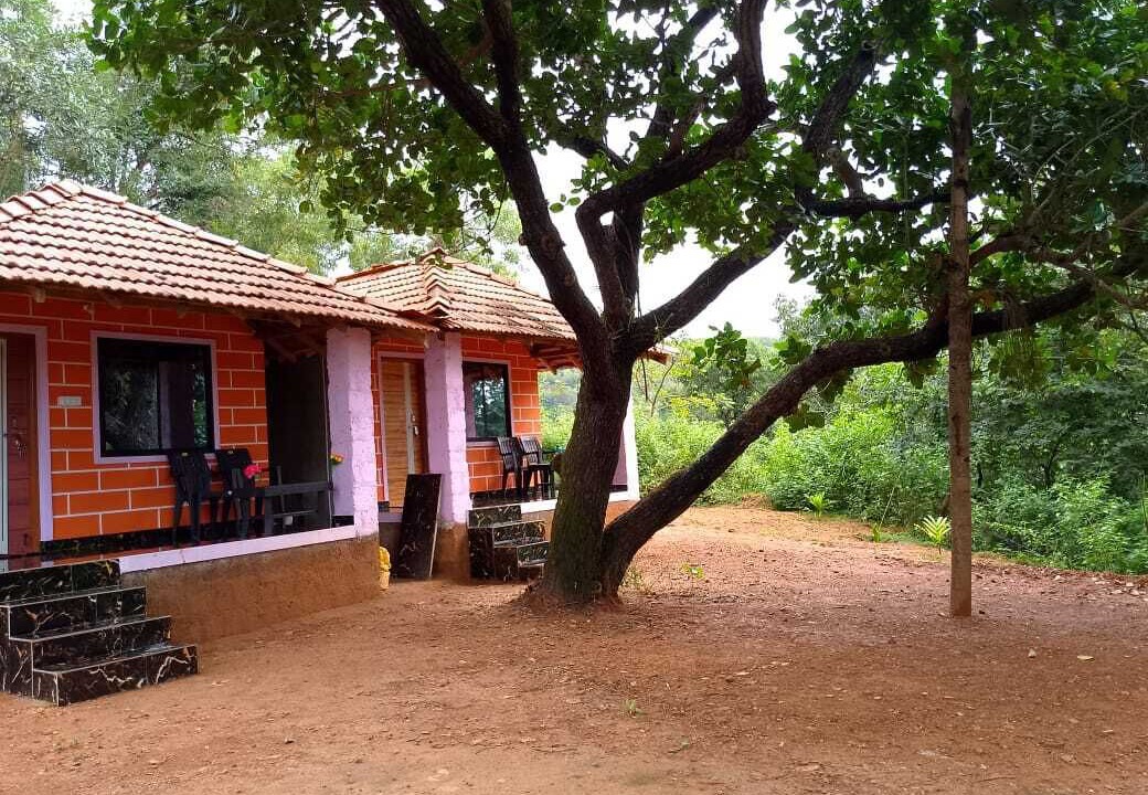 Photo of Outdoor in Gokarna