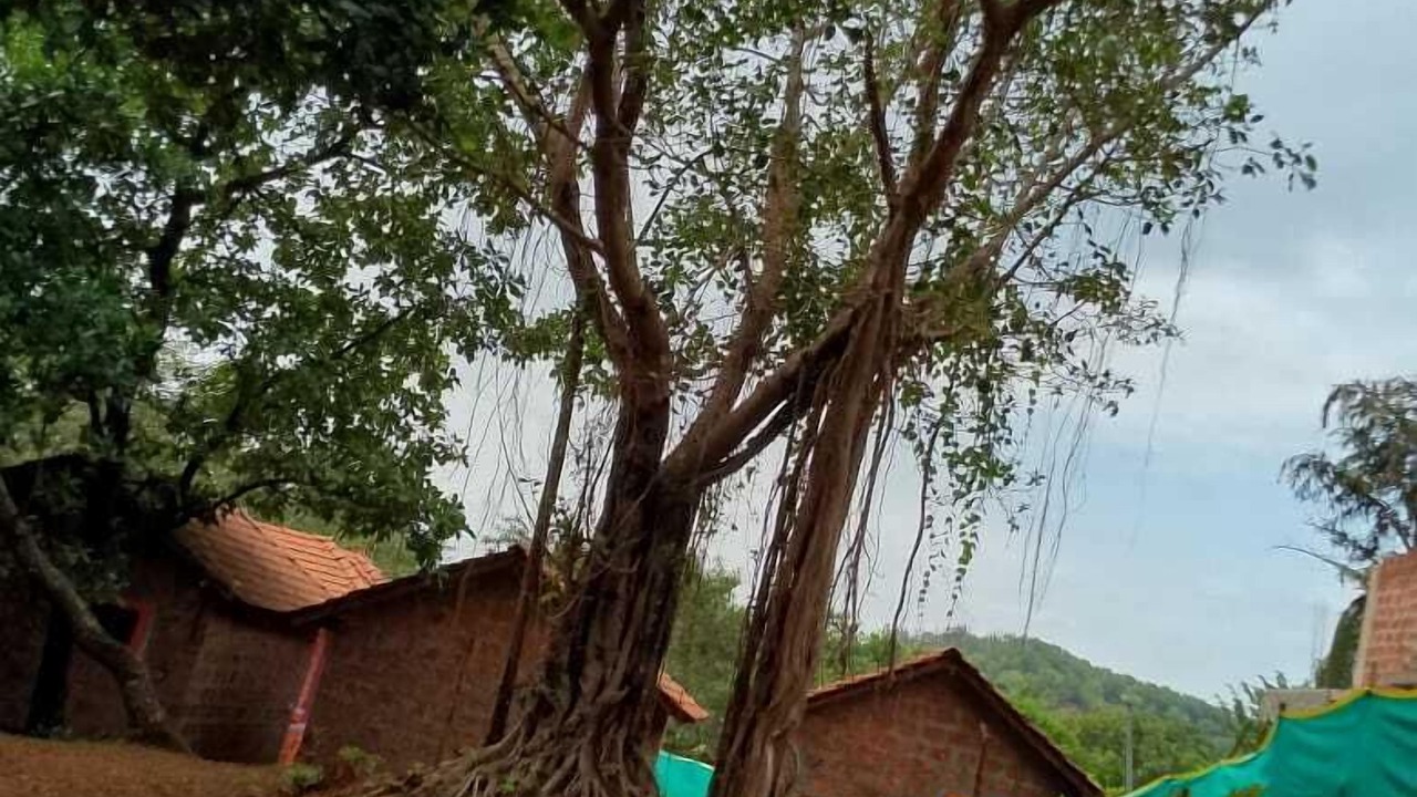 Photo of Outdoor in Gokarna