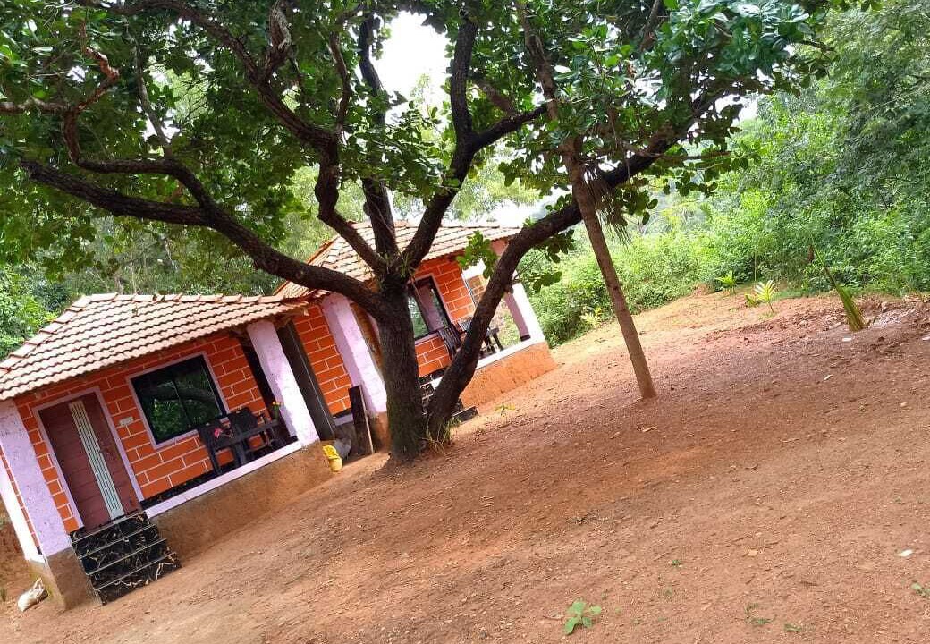 Photo of Outdoor in Gokarna