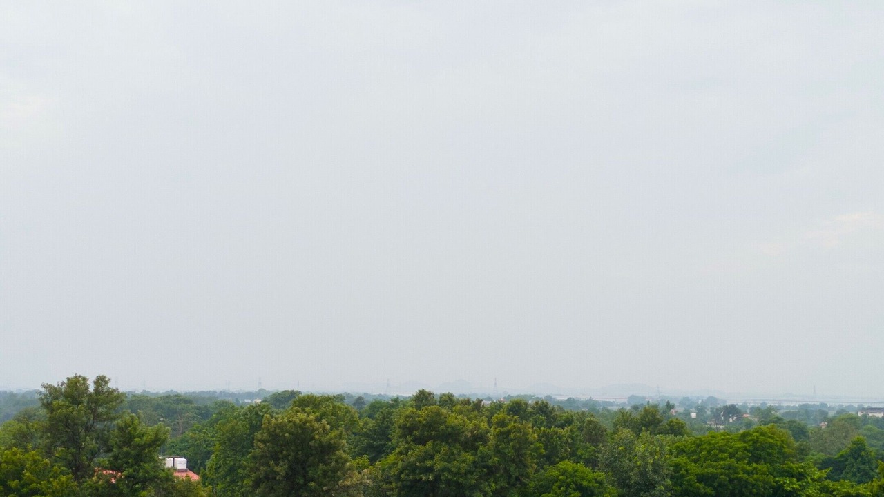 Photo of Outdoor in Taoru