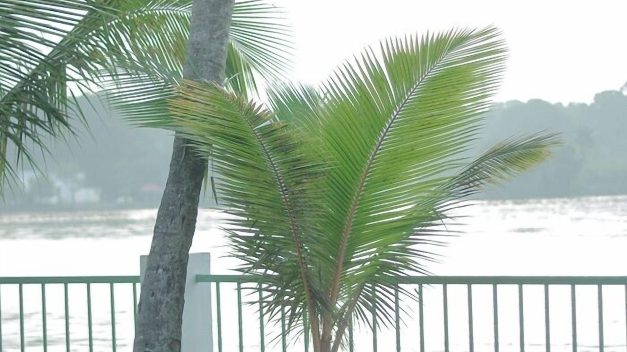 Photo of Outdoor in Quilon