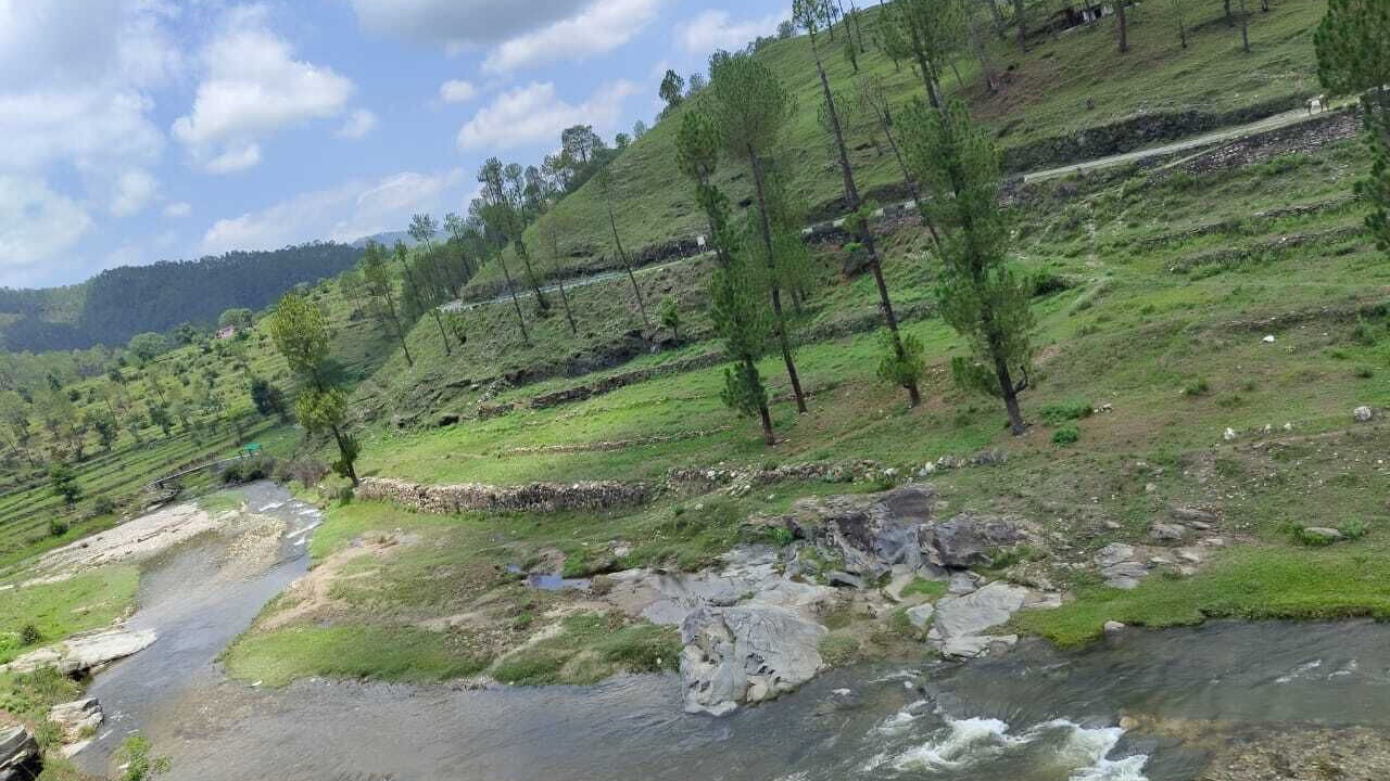Photo of Others in Almora