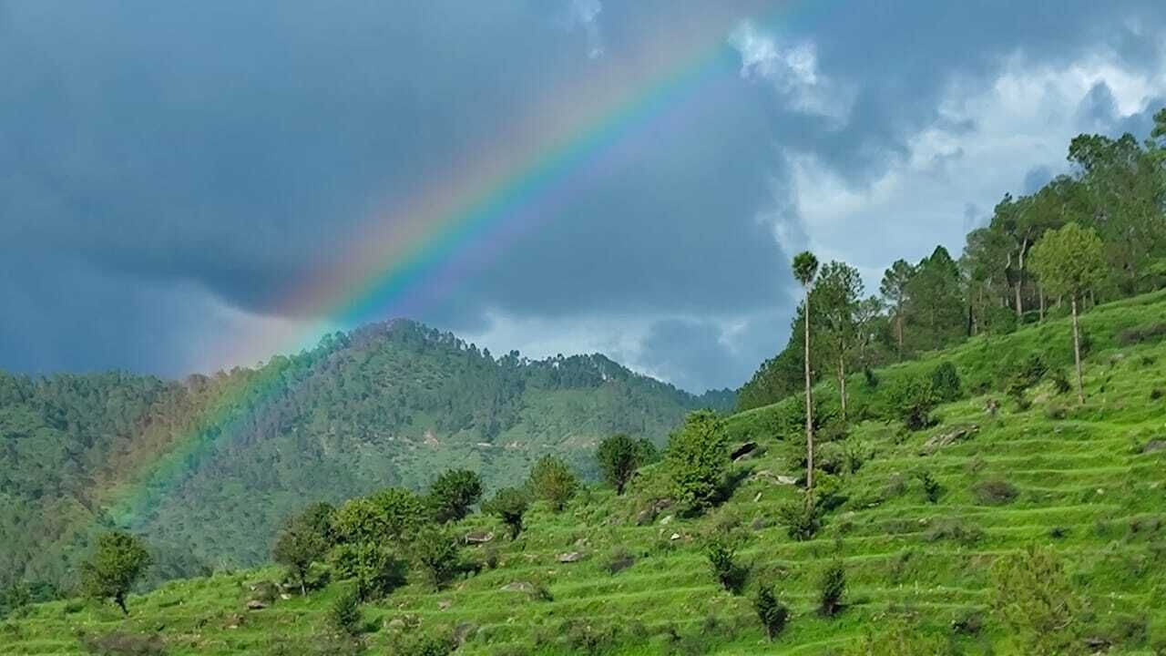 Photo of Others in Almora